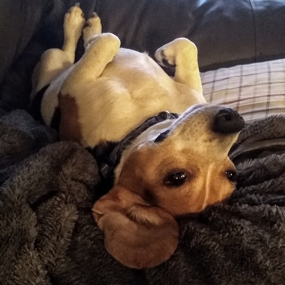 Meet your Posher, Michelle